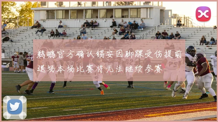 鹈鹕官方确认锡安因脚踝受伤提前退场本场比赛将无法继续参赛